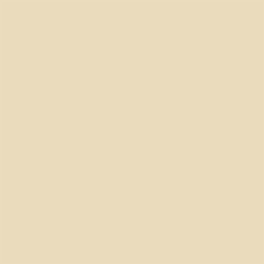 Northcott ColorWorks Premium Solid 9000 Colour 140 SANDSTONE Priced per 25cm