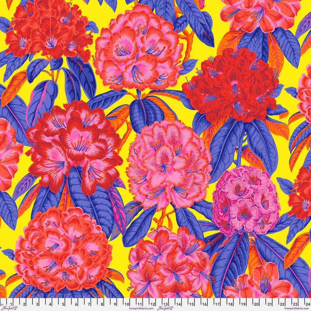 KFC Rhododendrons HOT PWPJ124.*LAST CHANCE Priced per 25cm
