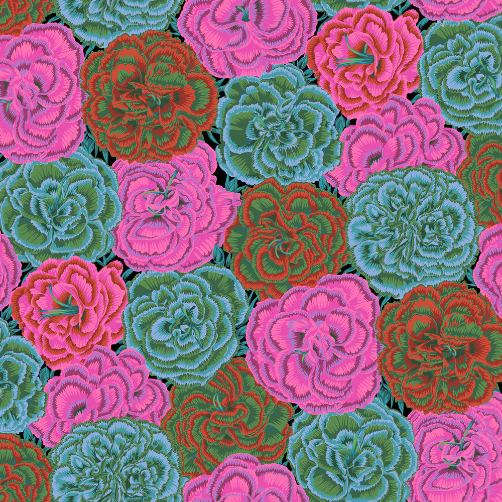 KFC Picotee Carnations DARK PWPJ133 Aug 2025 Priced per 25cm