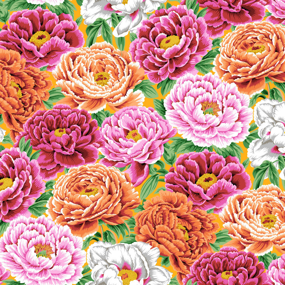 KFC Tibetan Poppy WARM PWPJ136 Aug 2025 Priced per 25cm
