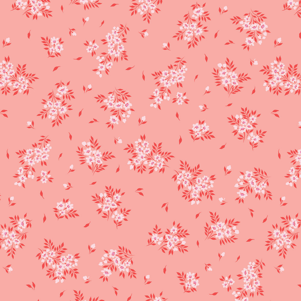 2025 TRUE COLORS PWTP253.PEACHYKEEN What a Ditz.Priced per 25cm