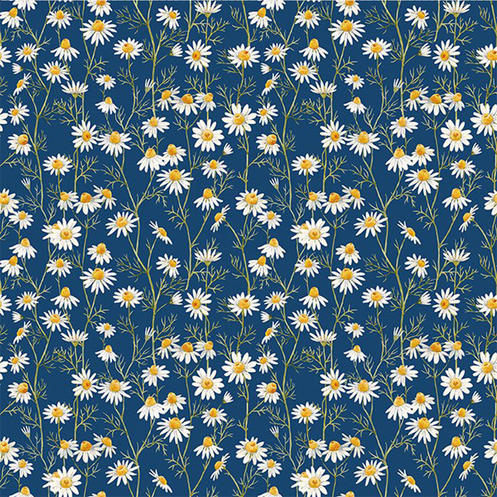 Hedgehog Hollow by Jason Yenter 9HH-1 Daisy on Blue.Priced per 25cm
