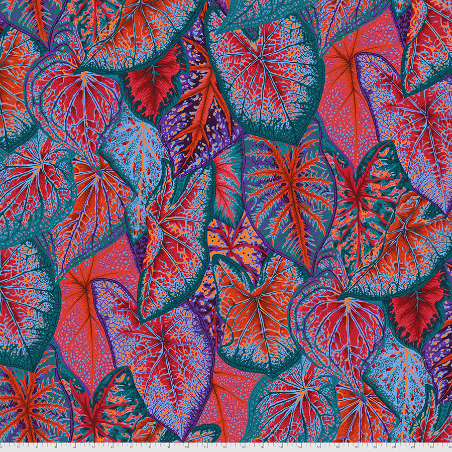 KFC Caladiums Red PWPJ108 Priced per 25cm *LAST CHANCE*
