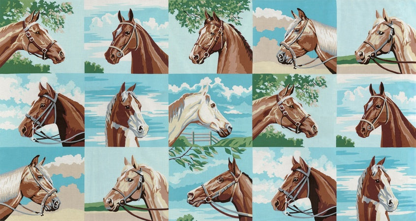 *REMNANT PUREBRED 11 Sky Horse M26120 11 - 1.9 METRES