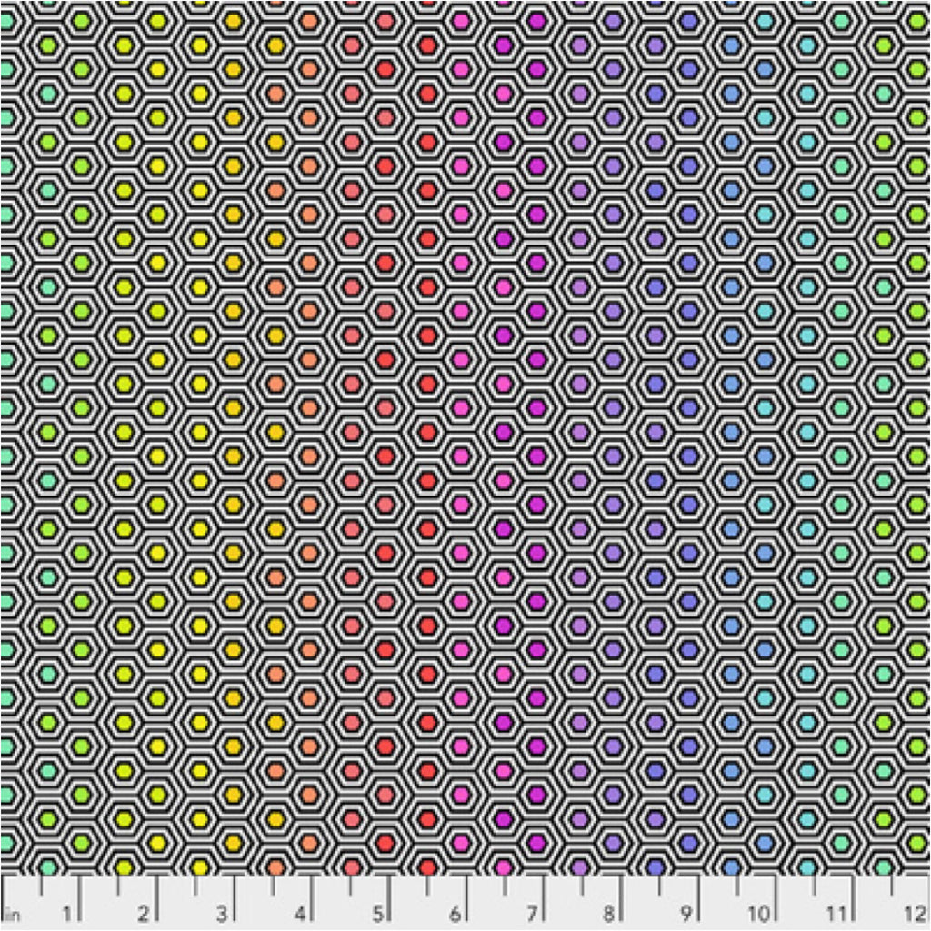 True Colors Hexy Rainbow - BLACK PWTP151 by Tula Pink.Priced per 25cm