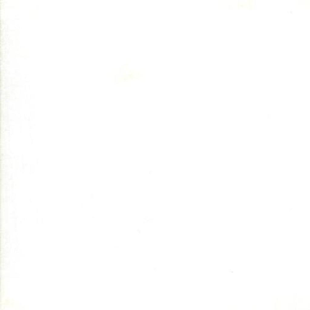 Solid white color swatch