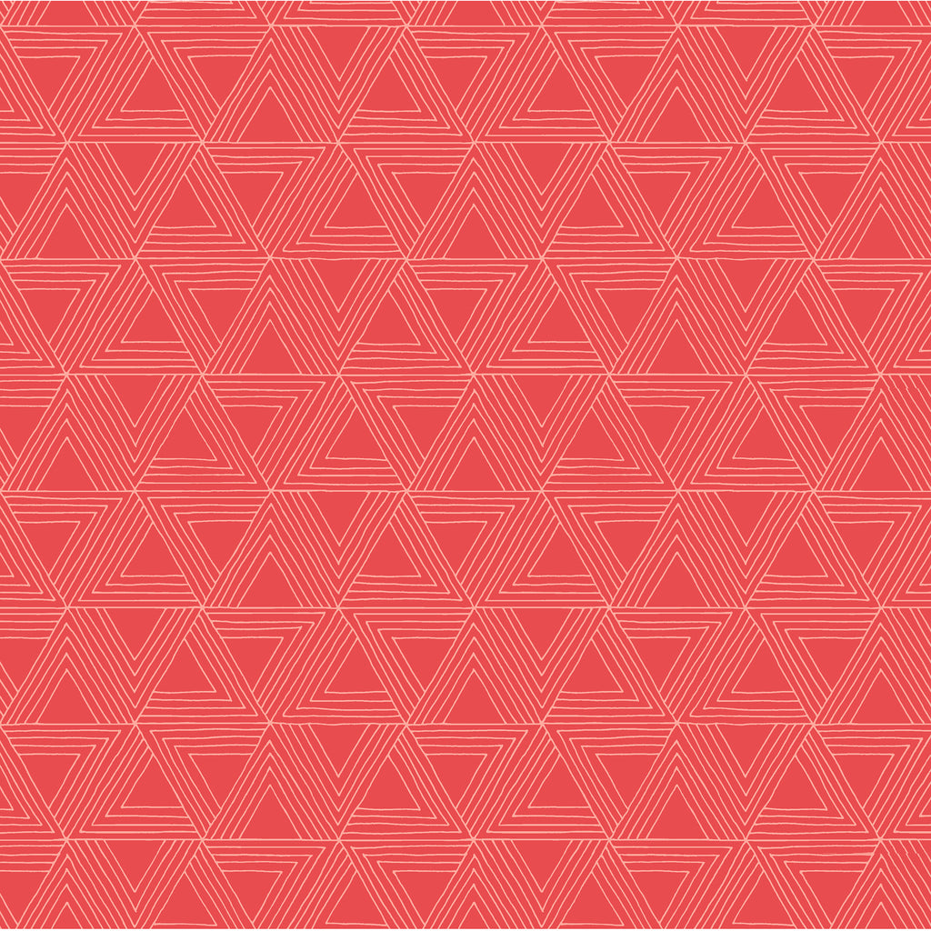 Windham Foundation 2 Incognito 54635-5 Salmon.Priced per 25 Cm.