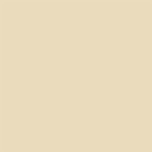 Northcott ColorWorks Premium Solid 9000 Colour 140 SANDSTONE Priced per 25cm