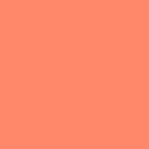 DESIGNER SOLIDS PERSIMMON (Tula Pink).Priced per 25cm