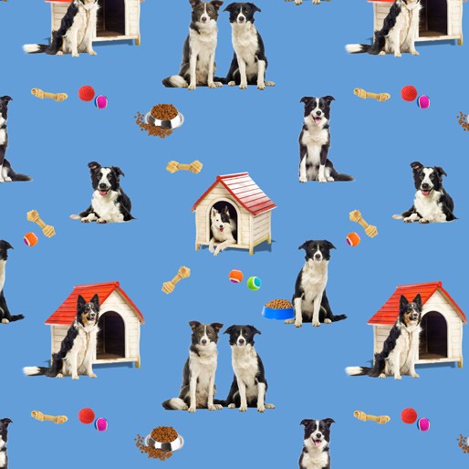Canine Companions Border Collies BLUE Allover .Priced per 25cm.