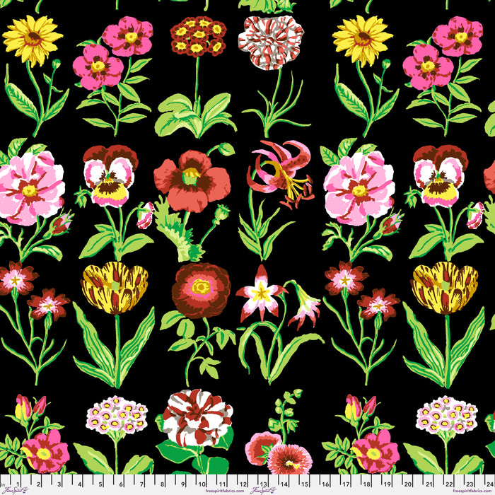 KFC Flower Studies BLACK PWGP205 Feb 2025  Priced per 25cm