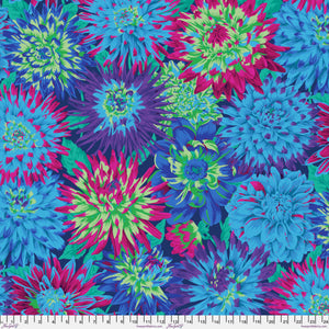 KFC Cactus Dahlia BLUE PWPJ054.Priced per 25cm