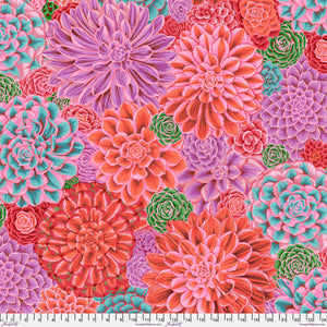 KFC House Leeks PINK PWPJ113 Feb 2025  Priced per 25cm