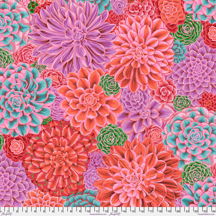 KFC House Leeks PINK PWPJ113 Feb 2025  Priced per 25cm