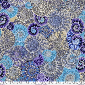KFC Ammonites BLUE PWPJ128 AUG 2024.Priced per 25cm*