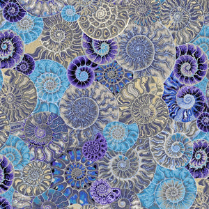 KFC Ammonites BLUE PWPJ128 AUG 2024.Priced per 25cm*