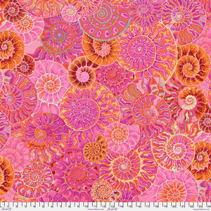 KFC Ammonites PINK PWPJ128 AUG 2024.Priced per 25cm*