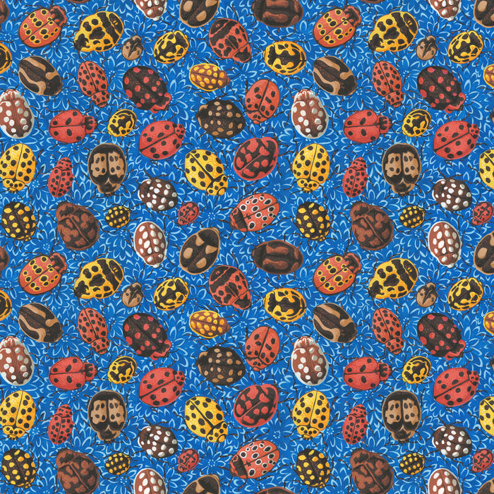 COTTAGE GARDEN Ladybirds BLUE PWSL141 by Philip Jacobs.Priced per 25cm