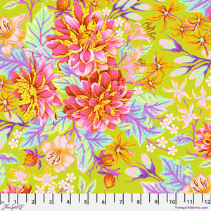 *Pre Order UNTAMED Hello Dahlia PWTP234.MOONBEAM.Priced per 25cm - due Dec 2024