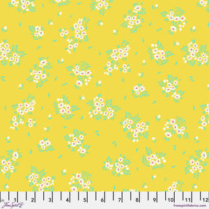 2025 TRUE COLORS PWTP253.BUTTERCUP What a Ditz.Priced per 25cm