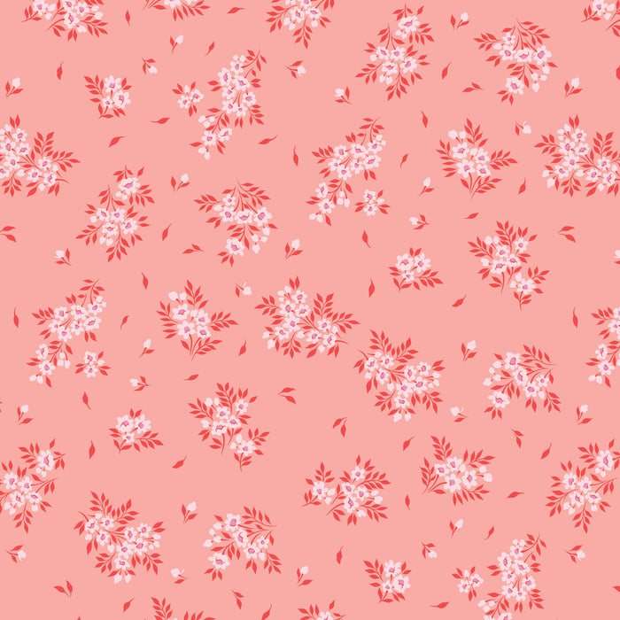2025 TRUE COLORS PWTP253.PEACHYKEEN What a Ditz.Priced per 25cm