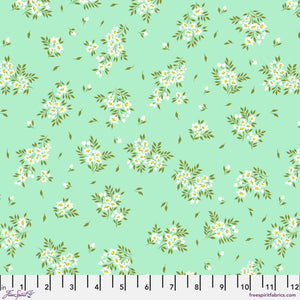 2025 TRUE COLORS PWTP253.SPEARMINT What a Ditz.Priced per 25cm