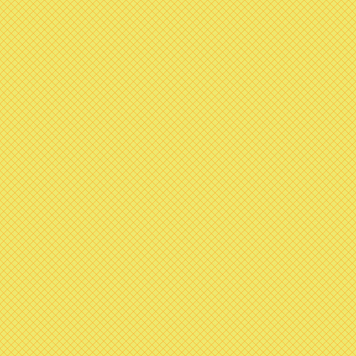 2025 TRUE COLORS PWTP255.HIGHLIGHTER On the Grid.Priced per 25cm