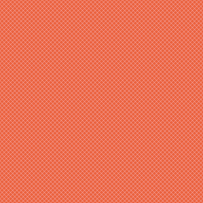 2025 TRUE COLORS PWTP255.SALMON On the Grid.Priced per 25cm