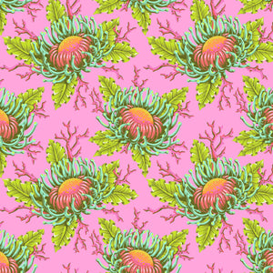 *Pre Order Floral Reef PWTP265.CORALLINE Friends & Anemones.Priced per 25 Cm. Due April/May