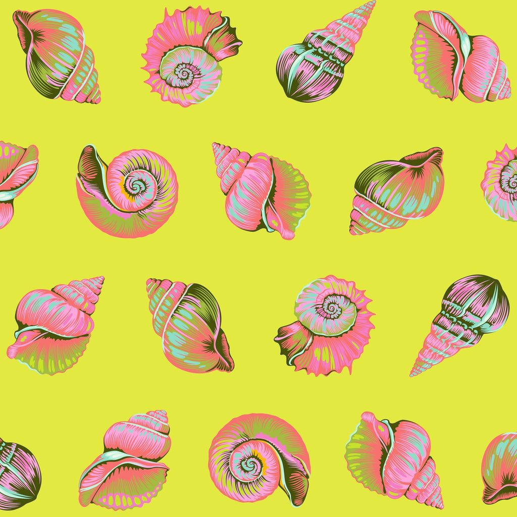 *Pre Order Floral Reef PWTP266.SEAGRASS Lil Shelly.Priced per 25 Cm. Due April/May