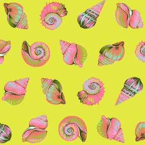 *Pre Order Floral Reef PWTP266.SEAGRASS Lil Shelly.Priced per 25 Cm. Due April/May