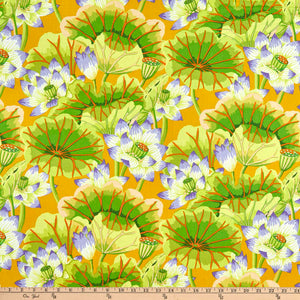 KFC Lake Blossoms YELLOW GP93.Priced per 25cm