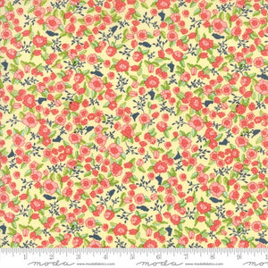 TUPPENCE Butter 45511 12.Priced per 25cm.