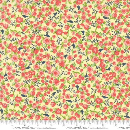TUPPENCE Butter 45511 12.Priced per 25cm.