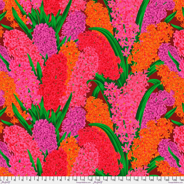 KFC Hyacinthus RED PWPJ123.*LAST CHANCE Priced per 25cm