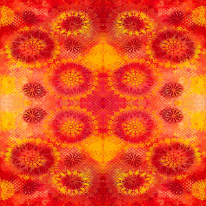 HAPPY BLOOMS by Sue Penn PWSP051.SUNBURST FLAME.Priced per 25cm
