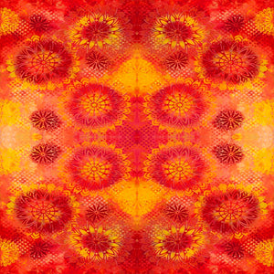 HAPPY BLOOMS by Sue Penn PWSP051.SUNBURST FLAME.Priced per 25cm