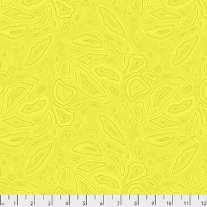 True Colors Mineral Citrine PWTP148 by Tula Pink.Priced per 25cm