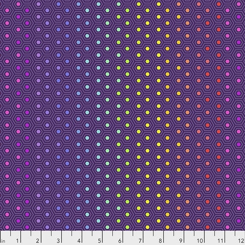 True Colors Hexy Rainbow - Starling PWTP151 by Tula Pink.Priced per 25cm