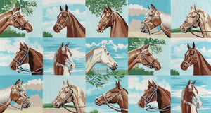 *REMNANT PUREBRED 11 Sky Horse M26120 11 - 1.9 METRES