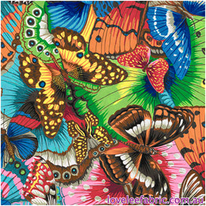 TREASURE ISLAND Tropical Butterflies MULTI PWSL107 by Philip Jacobs.Priced per 25cm