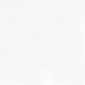 **EE SCHENCK MUSLIN Wideback / STAR WHITE 108" / 270cm Priced per 50cm.