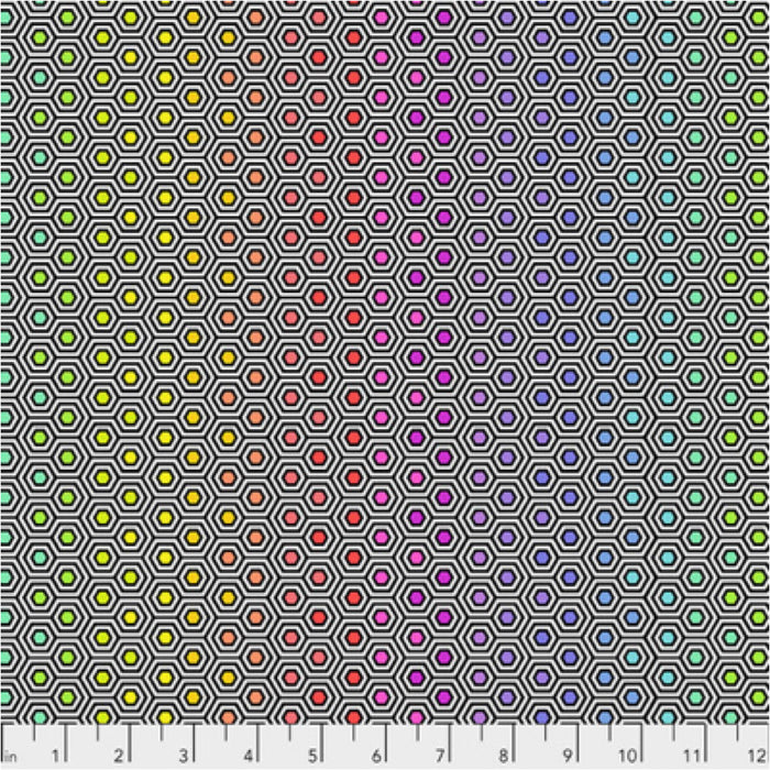 True Colors Hexy Rainbow - BLACK PWTP151 by Tula Pink.Priced per 25cm